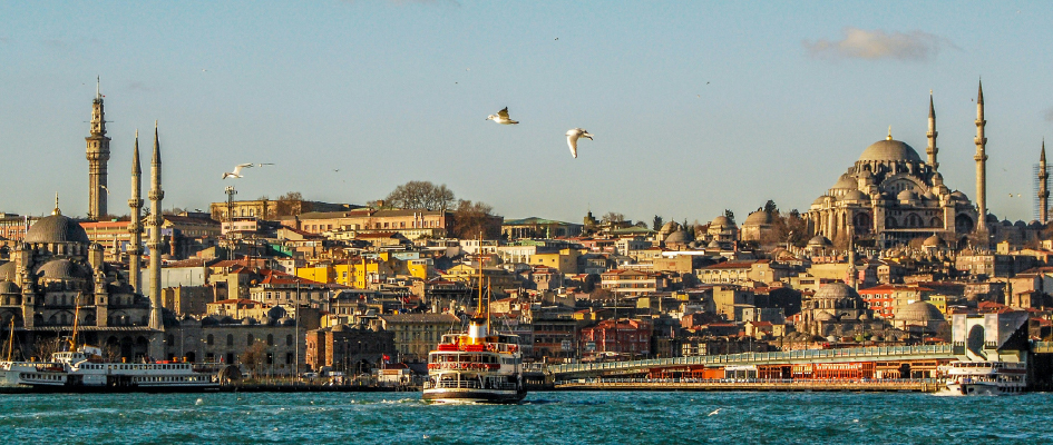 Artboard 1-100_5VzRF72OiG.jpg